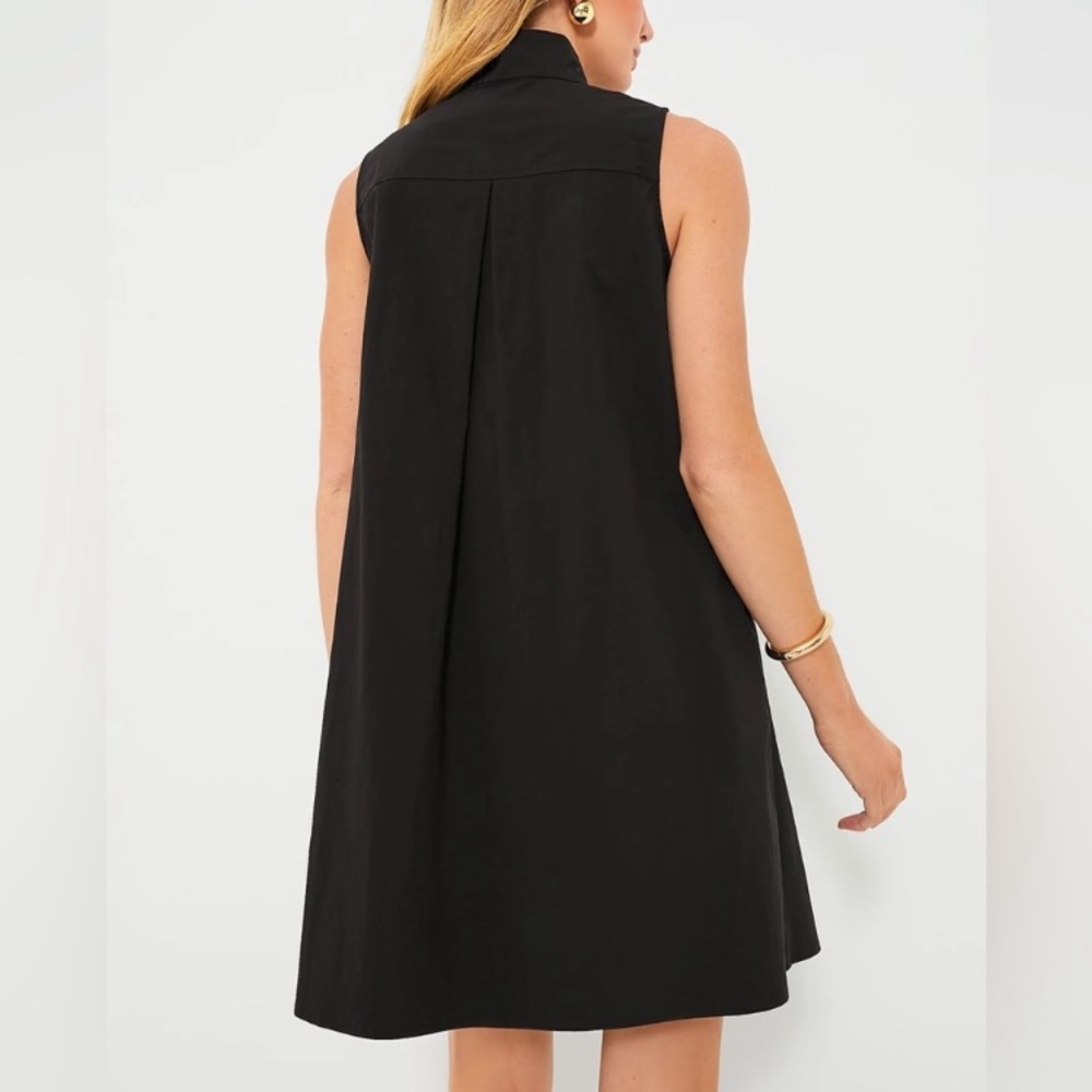 Tuckernuck Black Sleeveless Mini Dress with Stand Collar - Picture 11 of 13